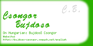 csongor bujdoso business card